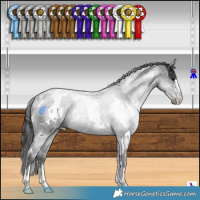 Horse Color:White Spotted Black