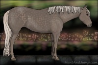 Horse Color:Silver Black 