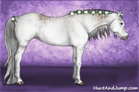 Horse Color:Gray White Spotted Black  and Gray White Spotted Classic Champagne 
