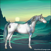 Horse Color:Nacre White Spotted Bay Onyx