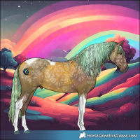 Horse Color:Painted Silver Black Ice Tobiano Rabicano 