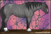 Horse Color:Blue Roan Sabino 