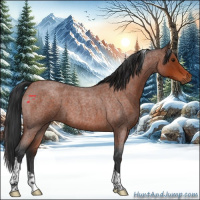 Horse Color:Brown Roan Tobiano 