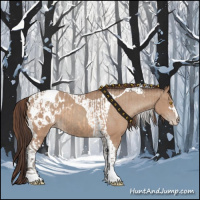 Horse Color:Amber Champagne Sabino Tobiano Appaloosa  and Amber Champagne Sabino Tobiano Appaloosa 
