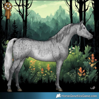 Horse Color:Silver Grullo Chinchilla Brindle 
