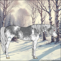 Horse Color:White Spotted Silver Black Chinchilla Splash 