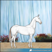 Horse Color:Gold Champagne Dun Appaloosa Brindle 