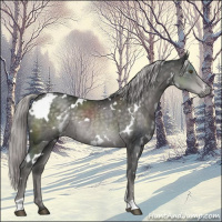 Horse Color:Platinum White Spotted Chocolate Palomino Rabicano 