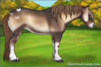 Horse Color:Liver Red Onyx Roan 
