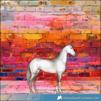 Horse Color:Gray Liver Red Dun 