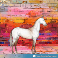 Horse Color:Gray Gold Champagne Dun Blanket Brindle 