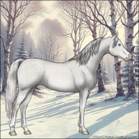 Horse Color:Platinum Cremello 