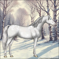 Horse Color:Platinum White Spotted Cremello Dun 