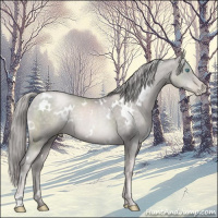 Horse Color:Platinum White Spotted Chocolate Palomino Pearl 