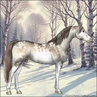 Horse Color:White Spotted Liver Red Dun Onyx Sabino Splash Brindle 