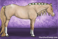 Horse Color:Red Roan Pearl Tobiano Frame 