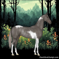 Horse Color:Silver Black Tobiano Rabicano 