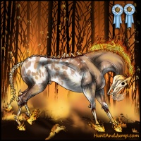 Horse Color:Chocolate Bay Dun Sabino Appaloosa Rabicano 