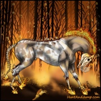 Horse Color:Silver Brown Dun Tobiano Appaloosa 