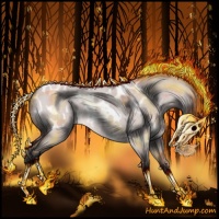 Horse Color:Platinum Bay Roan Dun Appaloosa Rabicano 