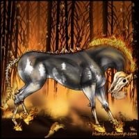 Horse Color:Black Splash 