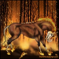 Horse Color:Void Bay Rabicano