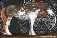 Horse Color:Liver Chestnut Sabino 