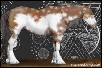 Horse Color:Bay Sabino Frame Rabicano 