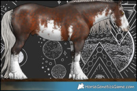 Horse Color:White Spotted Silver Bay Rabicano 