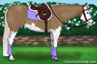 Horse Color:Silver Smoky Blue Roan Splash 