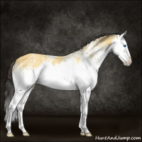 Horse Color:White Spotted Buckskin Roan Splash 