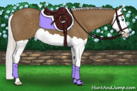 Horse Color:Silver Smoky Black Splash
