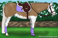 Horse Color:Silver Smoky Black Splash 