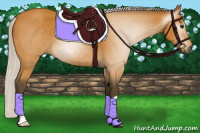 Horse Color:Gray Silver Buckskin 