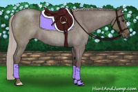 Horse Color:Silver Blue Roan 