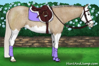 Horse Color:Silver Smoky Blue Roan Splash 