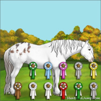 Horse Color:Bay Roan Appaloosa 