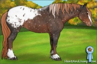 Horse Color:Liver Red Roan Sabino Appaloosa 