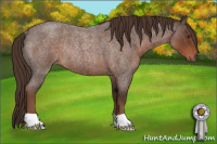 Horse Color:Liver Red Roan Rabicano 