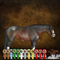 Horse Color:Brown Sabino Varnish 