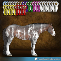 Horse Color:Brown Sabino