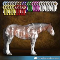Horse Color:Brown Sabino