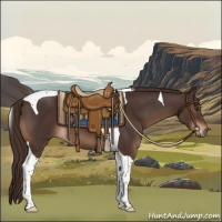 Horse Color:Liver Chestnut Tobiano 