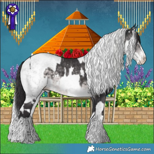 Horse Color:Platinum White Spotted Buckskin Splash  and Platinum White Spotted Silver Buckskin Pearl Dun Sabino 