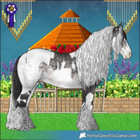 Horse Color:Platinum White Spotted Buckskin Splash and Platinum White Spotted Silver Buckskin Pearl Dun Sabino