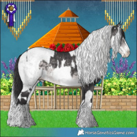 Horse Color:Platinum White Spotted Buckskin Splash and Platinum White Spotted Silver Buckskin Pearl Dun Sabino