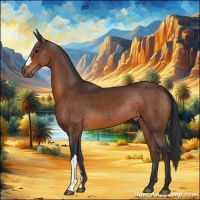 Horse Color:Brown 