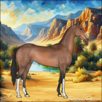 Horse Color:Bay 