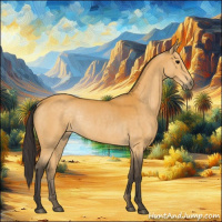 Horse Color:Buckskin Rabicano
