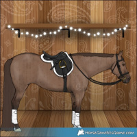 Horse Color:Liver Red Dun Brindle 